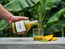 GIMBER Matcha